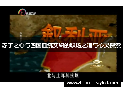 赤子之心与四国血统交织的职场之道与心灵探索 赤子之心与四国血统交织的职场之道与心灵探索