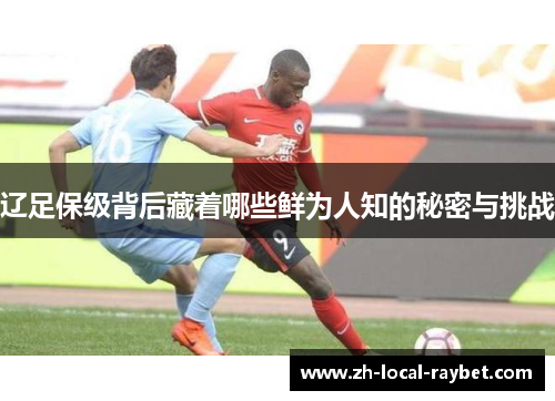 辽足保级背后藏着哪些鲜为人知的秘密与挑战 辽足保级背后藏着哪些鲜为人知的秘密与挑战