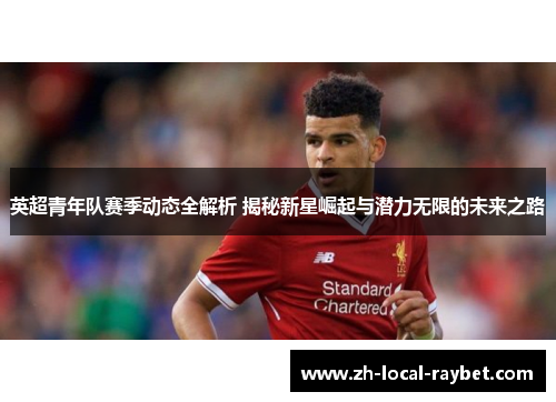 英超青年队赛季动态全解析 揭秘新星崛起与潜力无限的未来之路 英超青年队赛季动态全解析 揭秘新星崛起与潜力无限的未来之路