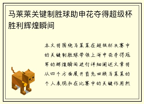 马莱莱关键制胜球助申花夺得超级杯胜利辉煌瞬间