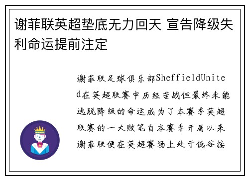 谢菲联英超垫底无力回天 宣告降级失利命运提前注定 谢菲联英超垫底无力回天 宣告降级失利命运提前注定